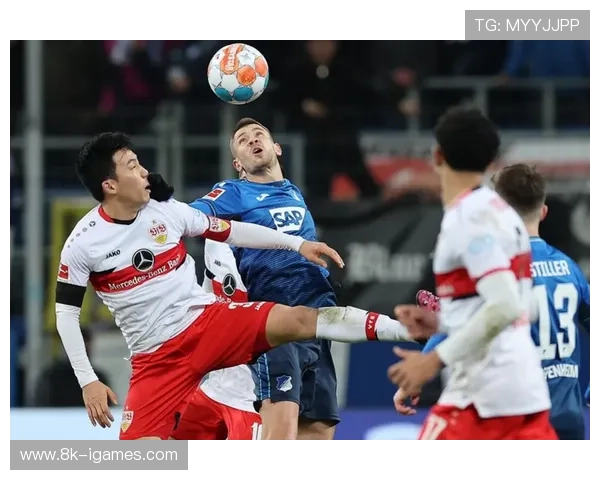 霍芬海姆队长本亚明·许布纳因伤病困扰正式挂靴 霍芬海姆队长本亚明·许布纳因伤病困扰正式挂靴